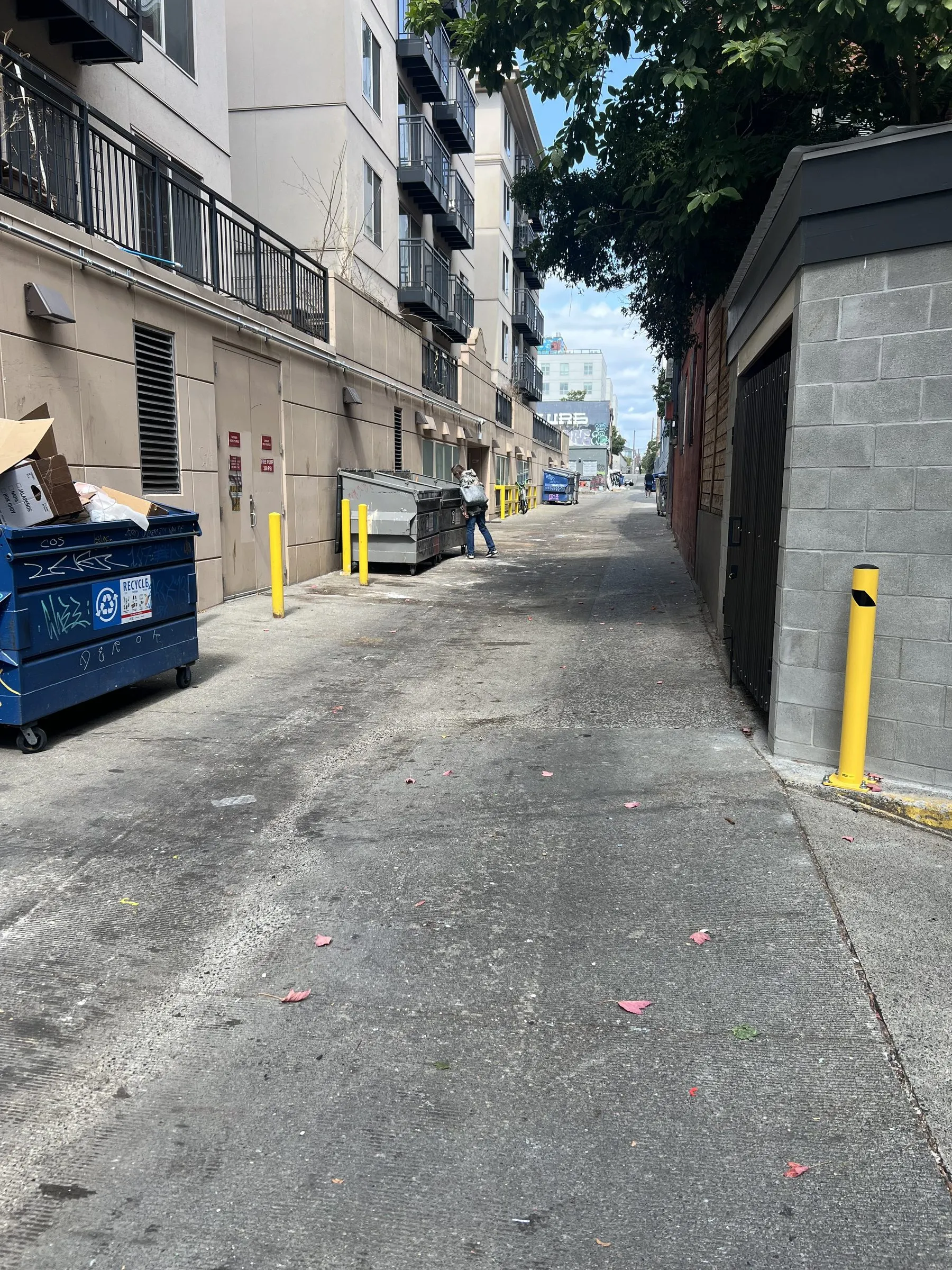 The same stretch of alley cleared, clean pavement from wall to wall